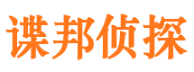 林甸市私家侦探